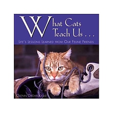 What Cats Teach Us Book, Chapter Book, Hardcover (296X)