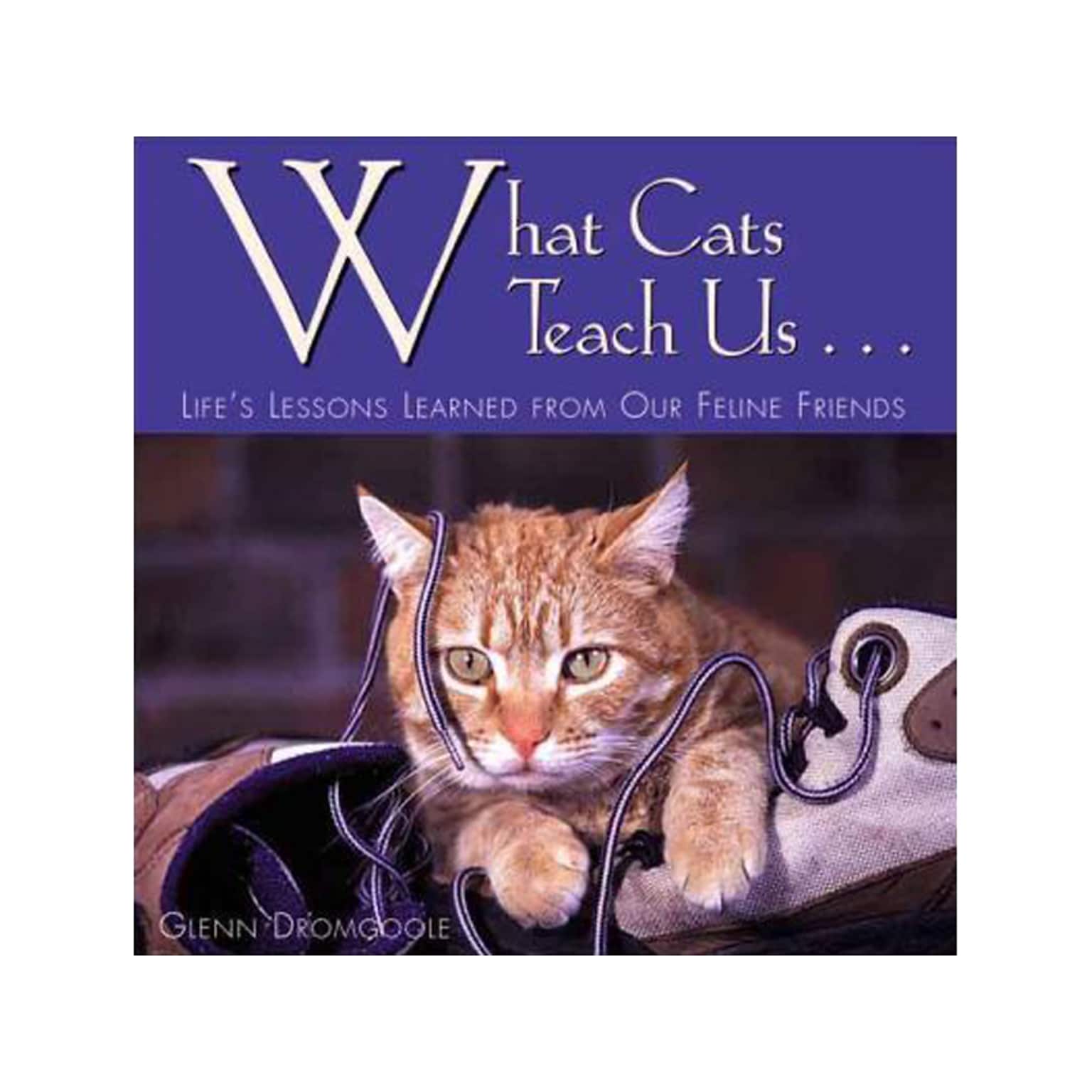 What Cats Teach Us Book, Chapter Book, Hardcover (296X)