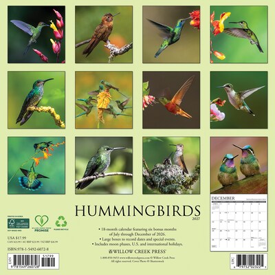 2027 Willow Creek Hummingbirds 12 x 12 Monthly Wall Calendar, Assorted Colors (60728)