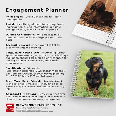 2025 BrownTrout Dachshunds 6" x 7.75" Weekly Engagement Planner, Paper Cover, Multicolored (9781975473174)