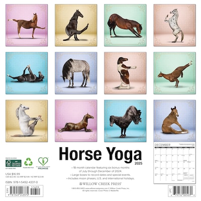 2025 Willow Creek Horse Yoga 12" x 12" Monthly Wall Calendar (43370)