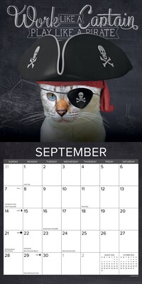2025 Willow Creek Catspirations 12" x 12" Monthly Wall Calendar (42250)