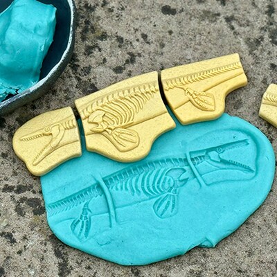 Yellow Door Dig and Discover Pliosaur & Stegosaurus, Assorted Colors, 10/Set (YUS1229)
