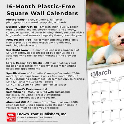 2026 BrownTrout Bichon Frise 12" x 12" Monthly Wall Calendar (9798330702411)
