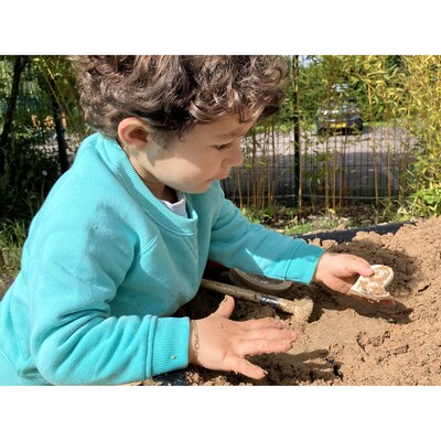Yellow Door Dig and Discover Ankylosaurus & Tyrannosaurus Rex, Assorted Colors, 9/Set (YUS1227)
