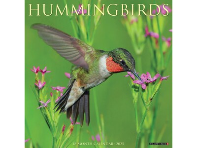 2025 Willow Creek Hummingbirds 12 x 12 Monthly Wall Calendar (43400)