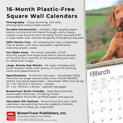 2025 BrownTrout Vizslas 12" x 12" Monthly Wall Calendar (9781975477936)