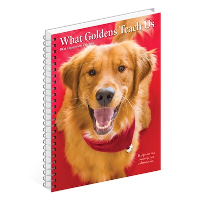 2026 Willow Creek What Goldens Teach Us 6.5" x 8.5" Daily & Monthly Personal Organizer (54680)