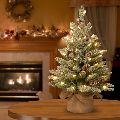 National Tree Company 2 Snowy Concolor Fir Tree with LED Lights (SR1-328-20-B1)