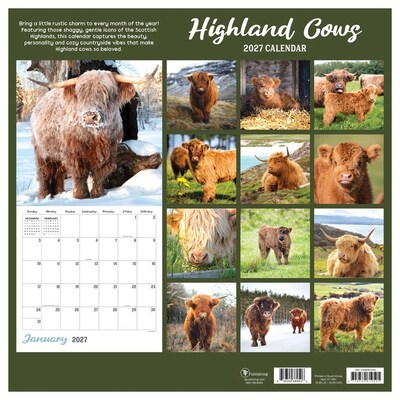 2027 TF Publishing Highland Cows 12" x 12" Monthly Wall Calendar, Multicolored (27-1061)