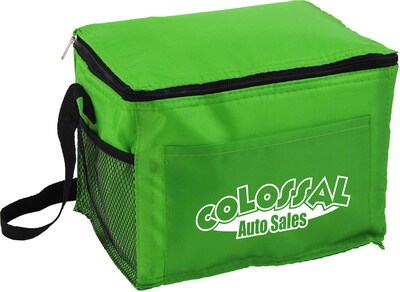 Budget Cooler Bag