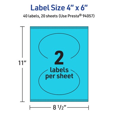 Avery Printable Oval Multipurpose Labels, 4" x 6", Bright Blue, 40/Pack (94057)