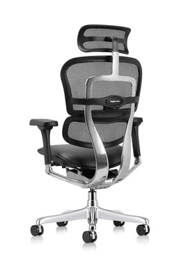 Eurotech Ergohuman Gen2 High Back Mesh Office Chair w/ Headrest, Black (LEM4ERG-GEN2)