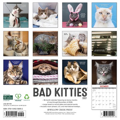 2027 Willow Creek Bad Kitties 12 x 12 Monthly Wall Calendar (58992)