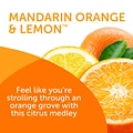 Bright Air Super Odor Eliminator Solid Air Freshener, Mandarin Orange & Fresh Lemon (900013)