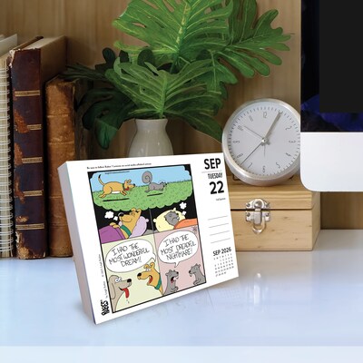 2026 Willow Creek Zoo In A Box 6.2" x 5.4" Day-to-Day Calendar (54543)