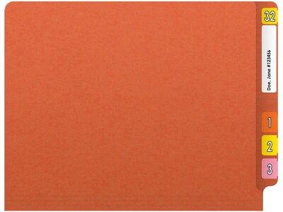 Medical Arts Press Reinforced End Tab File Folder, Straight Cut, Letter-Size, Orange, 250/Carton (S-01602-ORG-B)