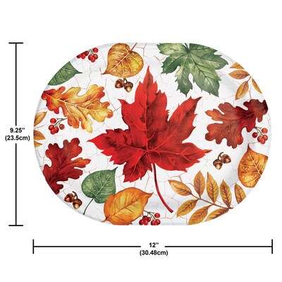 Say Hooray! Autumn Air Paper Plates and Guest Towels Kit, Multicolored, 48/Pack (DTC9387E2H)