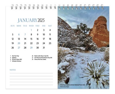 2025 BrownTrout National Parks 7.5" x 6" Monthly Double-View Easel Desk Calendar, (9781975478469)