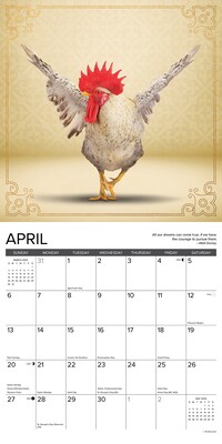 2025 Willow Creek Farm Yoga 12" x 12" Monthly Wall Calendar (42878)