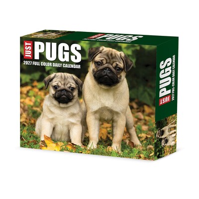 2027 Willow Creek Just Pugs 5.4 x 6.2 Day-to-Day Calendar (63699)