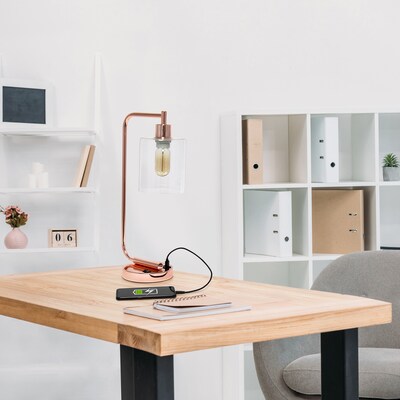 Lalia Home Studio Loft Modern Iron Desk Lamp, 18.8", with USB Port, Polished Rose Gold (LHD-2002-RG)