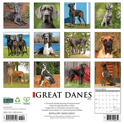 2025 Willow Creek Just Great Danes 12 x 12 Monthly Wall Calendar (43196)