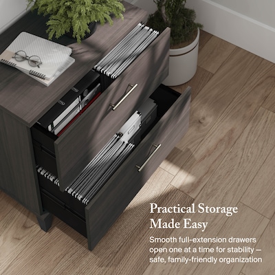 Bush Furniture Somerset 2-Drawer Lateral File Cabinet, 29" x 30", Letter/Legal, Storm Gray (WC81580)