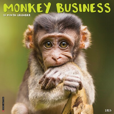 2025 Willow Creek Monkey Business 12 x 12 Monthly Wall Calendar (44001)