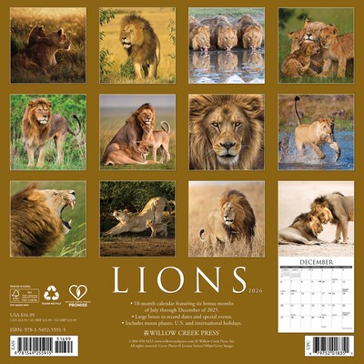2026 Willow Creek Lions 12 x 12 Monthly Wall Calendar (55915)