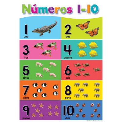 Teacher Created Resources Spanish Colorful Early Learning Small Poster Pack, 12/Set (TCR7822)