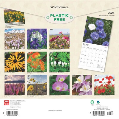 2025 BrownTrout Wildflowers 12 x 12 Monthly  Wall Calendar (9781975475949)