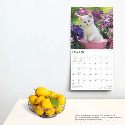 2025 BrownTrout I Love Kittens 12" x 12" Monthly  Wall Calendar (9781975477288)
