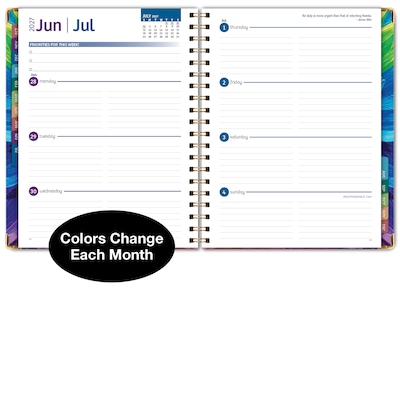 2027 Excello Brands 9" x 11" Weekly & Monthly Standard Planner, Paperboard Cover, Rainbow Petals (FSHN-CY27-8511-41)
