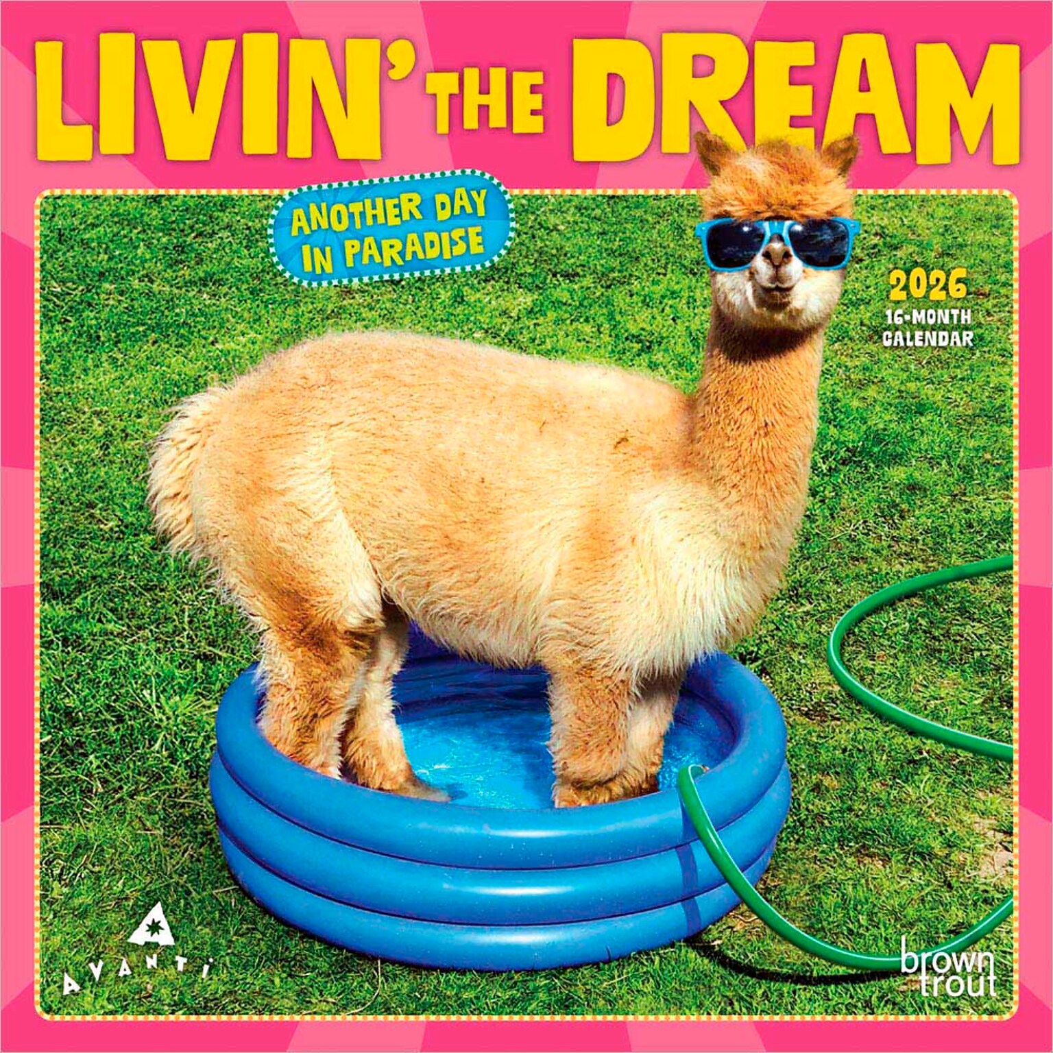 2026 BrownTrout Avanti Livin the Dream 7 x 7 Monthly Wall Calendar (9798330707966)