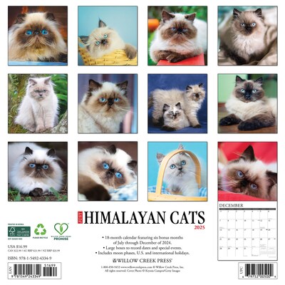 2025 Willow Creek Just Himalayan Cats 12 x 12 Monthly Wall Calendar (43349)