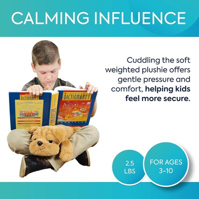 Bouncyband Happy Hugs Sensory Weighted Plush Bulldog (BBALPBD)