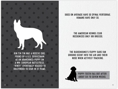 Dog Trivia, Chapter Book, Softcover (49533)