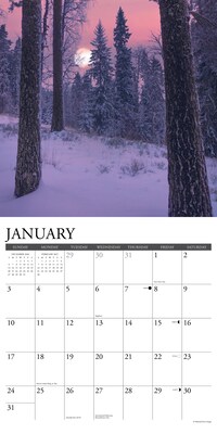2027 Willow Creek Moons 12" x 12" Monthly Wall Calendar, Assorted Colors (61312)