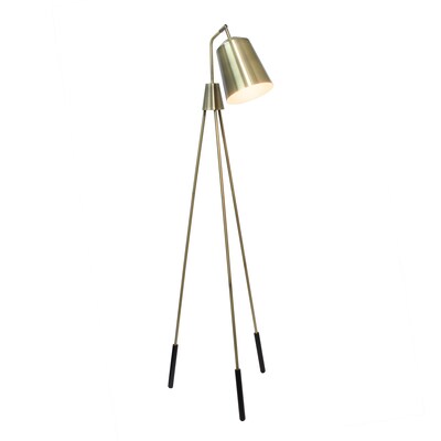 Lalia Home Industrial Light Tripod Floor Lamp with Interior White Spotlight, Antique Brass (LHF-5016