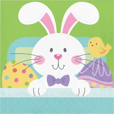 Creative Converting Hippity Hoppity Easter Tableware Kit, Serves 8 (DTC9197E2A)