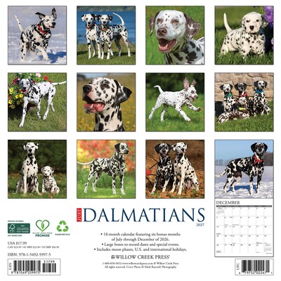2027 Willow Creek Dalmatians  12 x 12 Monthly Wall Calendar (59975)
