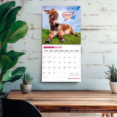 2026 BrownTrout Jackasses 12" x 12" Monthly Wall Calendar (9798330703982)
