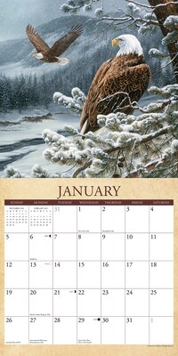 2025 Willow Creek Wild America 12" x 12" Monthly Wall Calendar (45459)