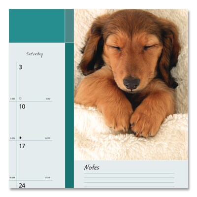 2026 Blueline Pets Collection 22" x 17" Monthly Desk Pad Calendar (REDC194116)