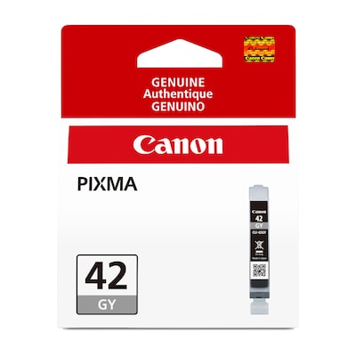 Canon 42 Gray Standard Yield Ink Cartridge (6390B002)