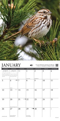 2025 Willow Creek Songbirds 12" x 12" Monthly Wall Calendar (44988)