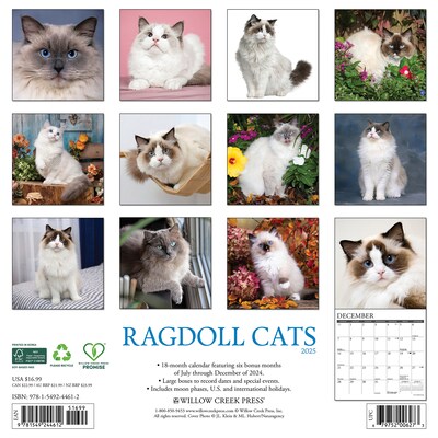 2025 Willow Creek Ragdoll Cats 12 x 12 Monthly Wall Calendar (44612)