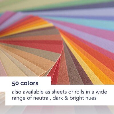 Canson Artist Series 9" x 12" Mi-Teintes Pastel Pad, 24 Sheets/Pad, 2/Bundle (MCXC100510864-2)