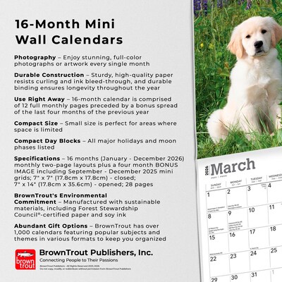 2026 BrownTrout Golden Retriever Puppies 7" x 7" Monthly Wall Calendar (9798330703456)